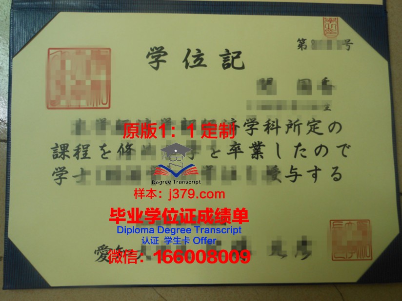 爱知工科大学硕士毕业证:承载知识与梦想的荣誉证书