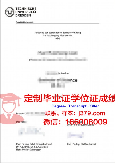 德累斯顿工业大学毕业证补办(德累斯顿工业大学学生宿舍)
