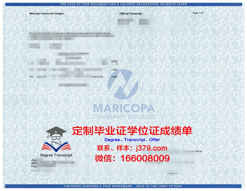 国际伯奇大学学位成绩单定制：打破传统，开启个性化教育新篇章